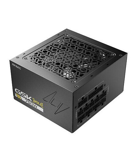 ANTEC GSK750 US ATX3.1, 750W Full Modular PSU, 80 PLUS Gold Certified, PCIE 5.1 Support