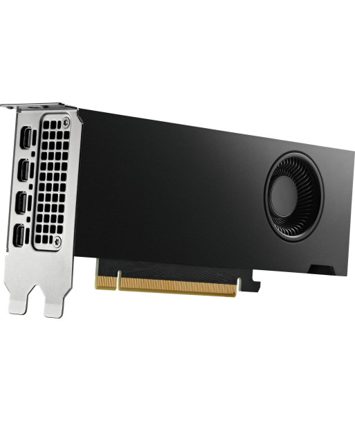 NVIDIA RTX 4000 Ada Generation - graphics card - RTX 4000 Ada - 20 GB