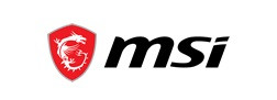 MSI